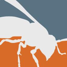 logo bij Aw bestrijdingen 